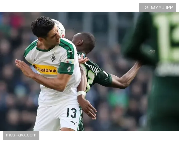 德甲各队阵容演变：本赛季人员调整与战术适配分析