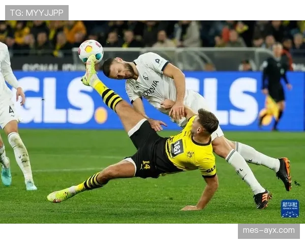 德甲多特蒙德 德甲多特蒙德