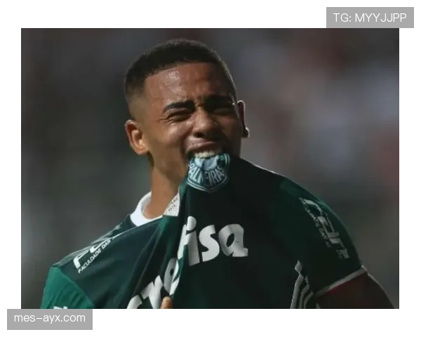 帕尔梅拉斯主帅回应近期争议与球队表现